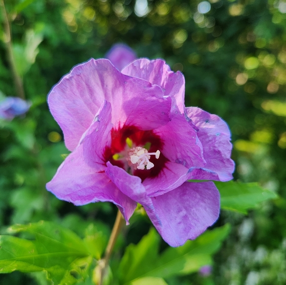 Meet your Posher, Kari - Picture 3 of 4